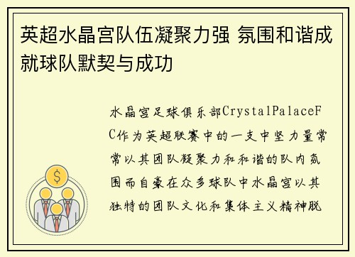 英超水晶宫队伍凝聚力强 氛围和谐成就球队默契与成功