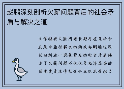 赵鹏深刻剖析欠薪问题背后的社会矛盾与解决之道